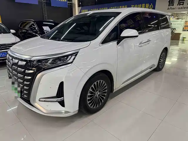 2023 Denza D9
