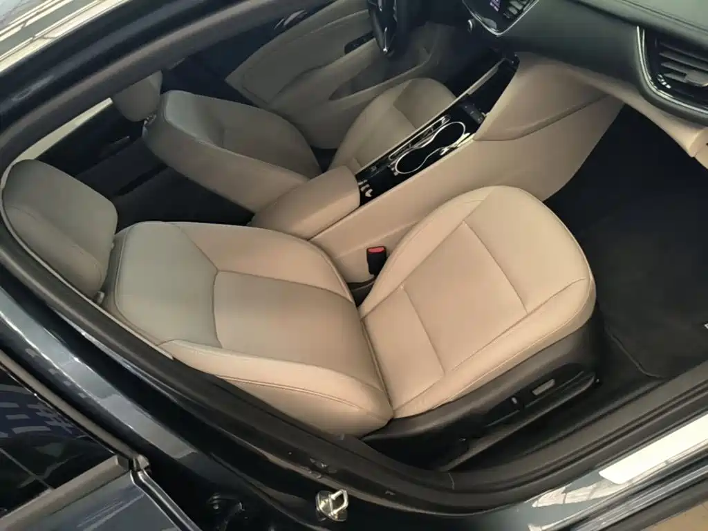 Buick Regal — миниатюра 25