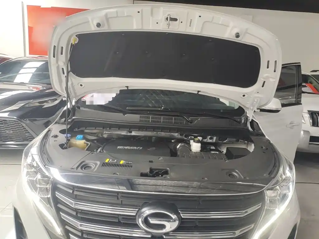 GAC Motor Trumpchi M8 — миниатюра 20