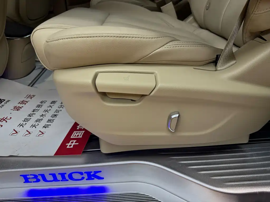 Buick GL8 — миниатюра 18
