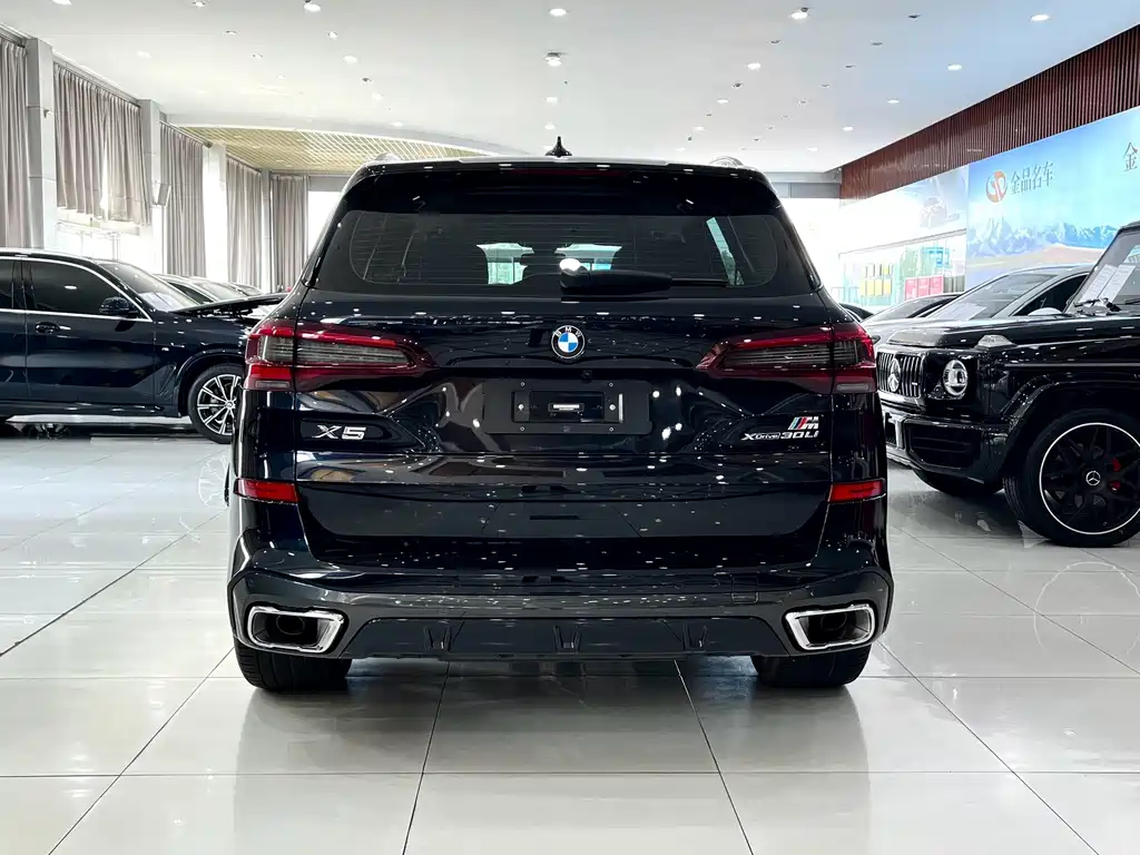 BMW X5 — миниатюра 5