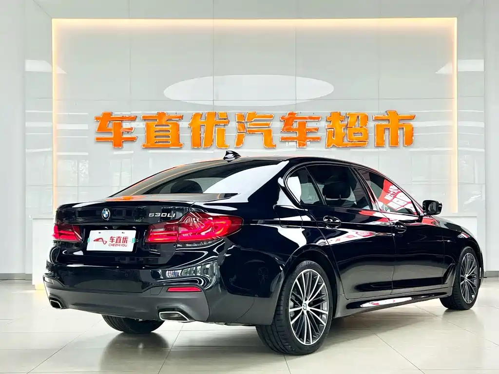BMW 5 Series — миниатюра 5