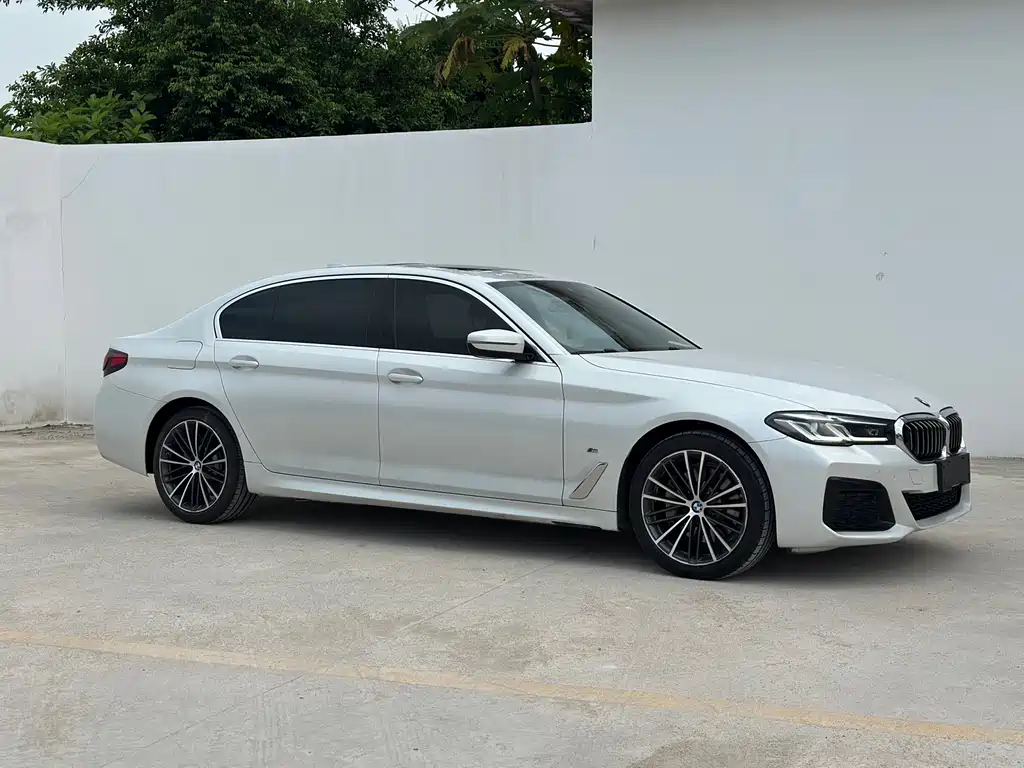 BMW 5 Series — миниатюра 3