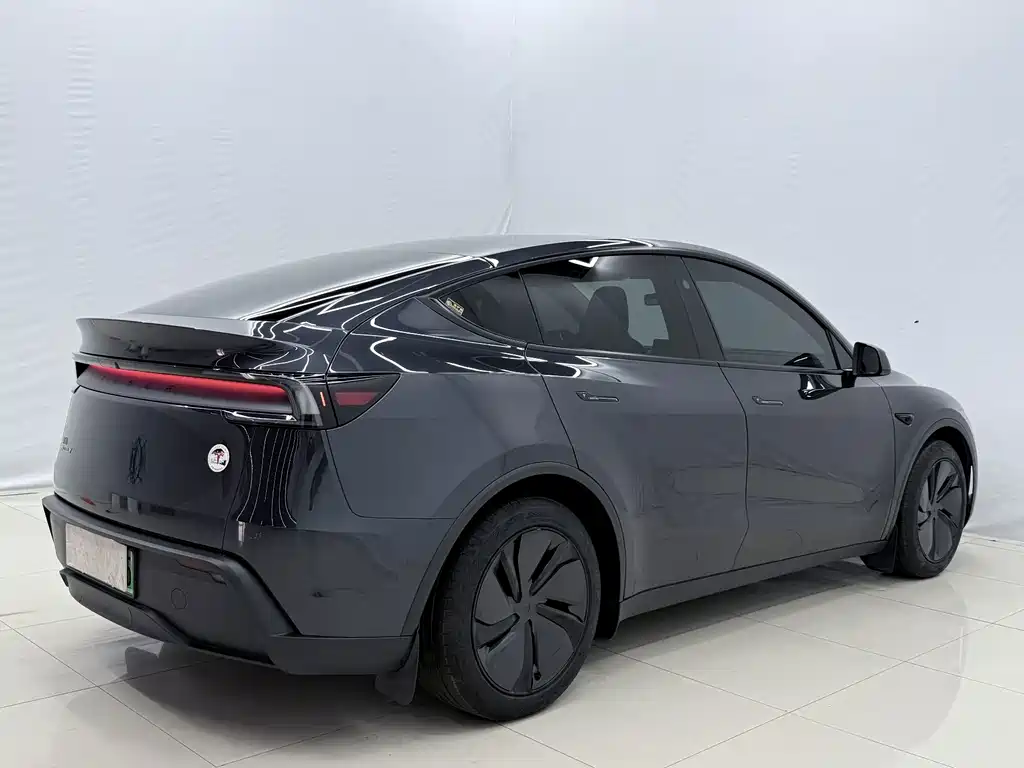 Tesla Model Y — миниатюра 12