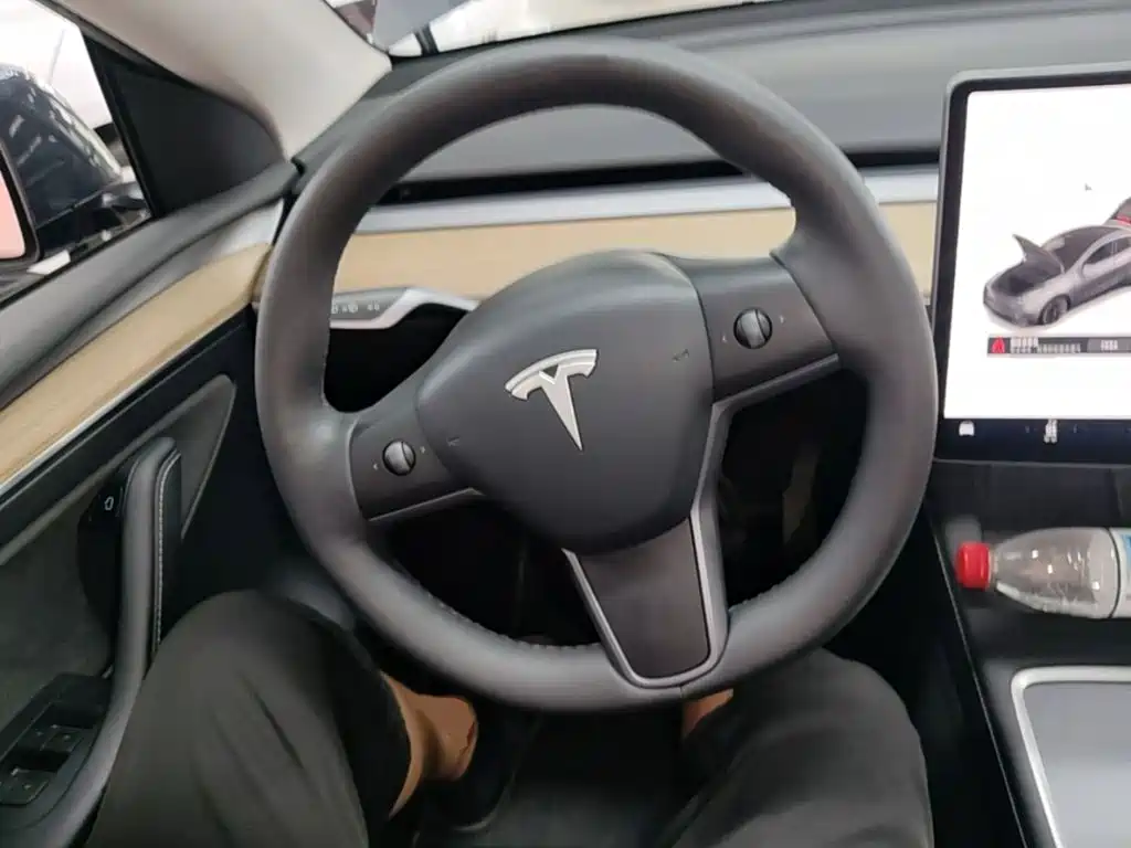 Tesla Model Y — миниатюра 11