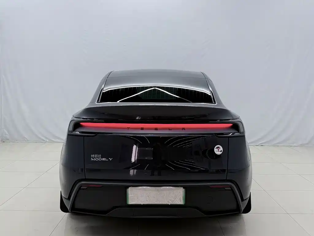 Tesla Model Y — миниатюра 13