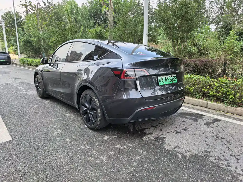 Tesla Model Y — миниатюра 7