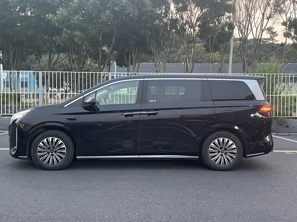 BYD Xia — миниатюра 7