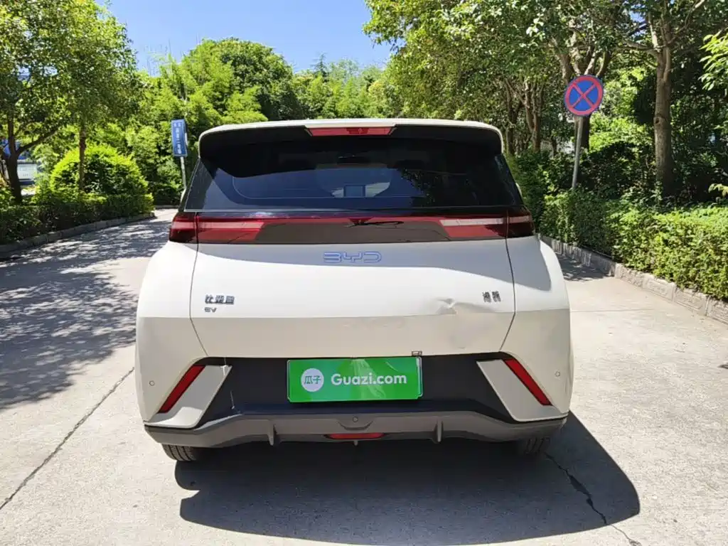 BYD Seagull 2025 305km