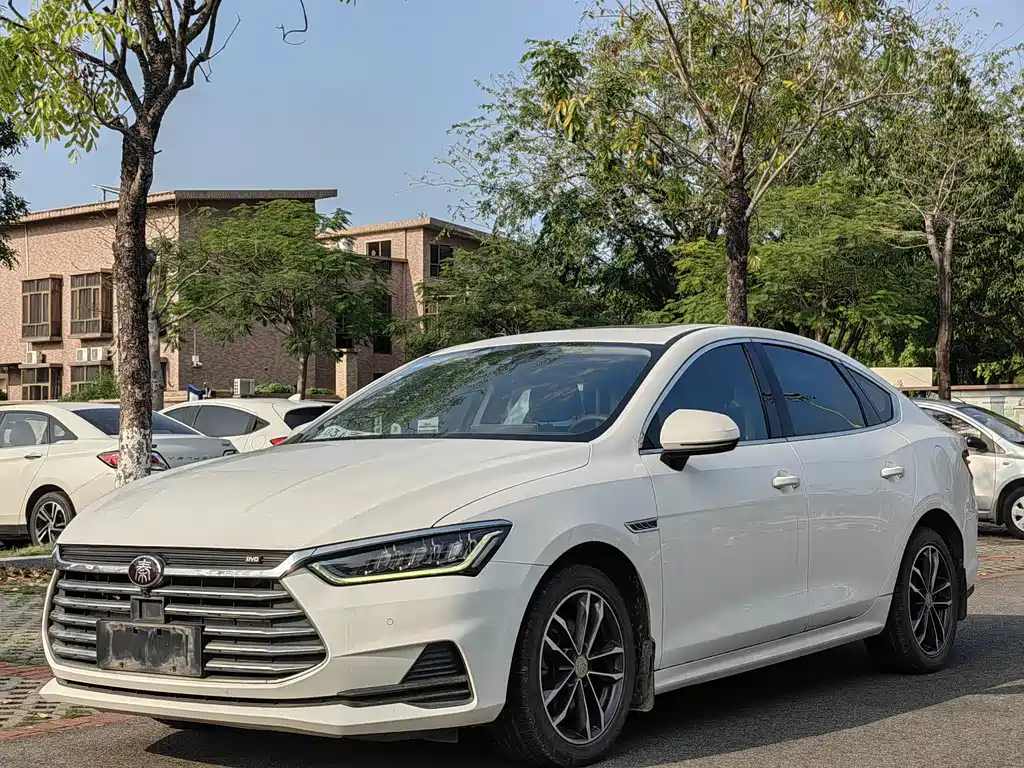 Byd Qin Pro 2019