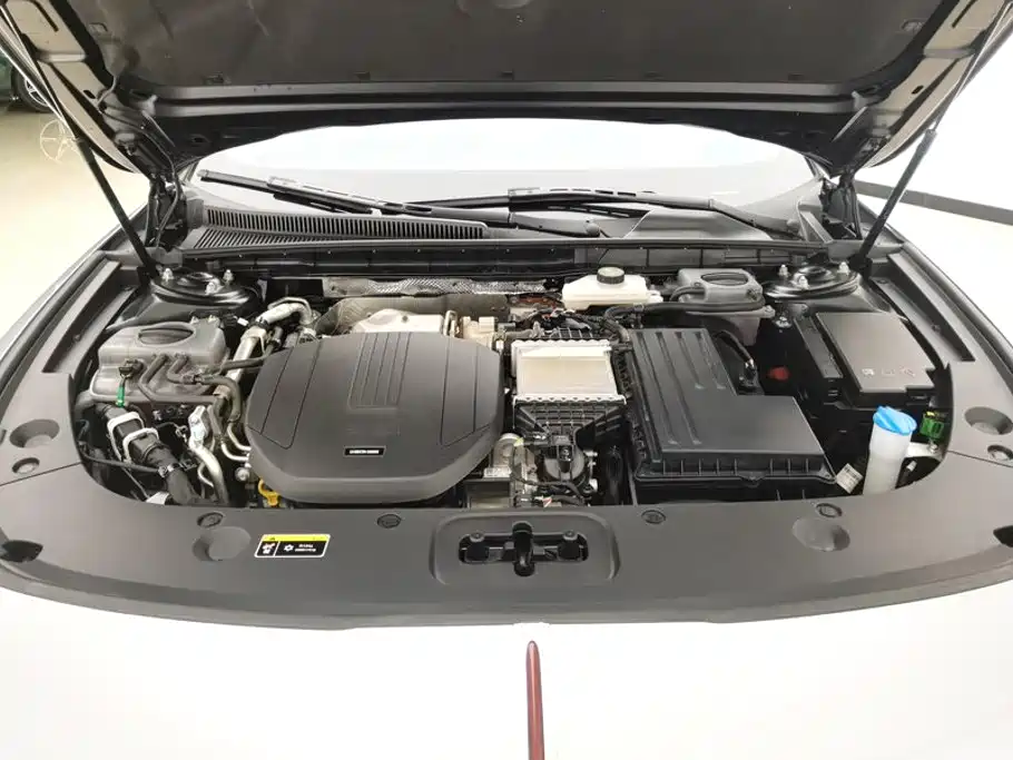 Hongqi Hongqi H5 PHEV — миниатюра 10