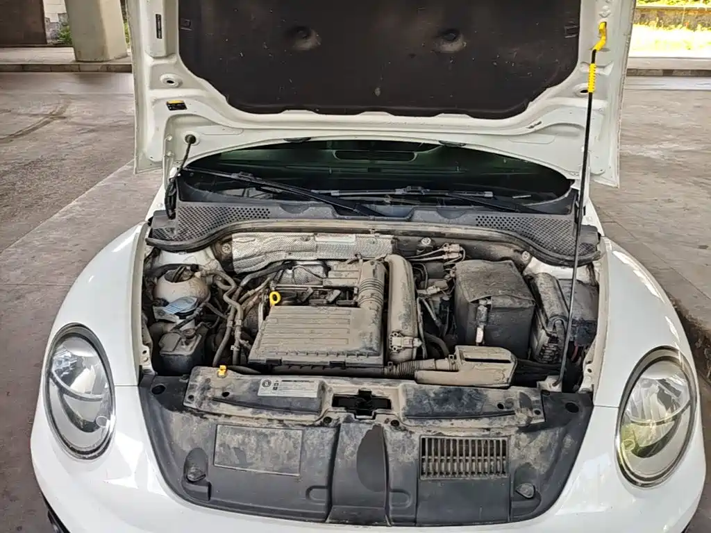 Volkswagen Beetle — миниатюра 20