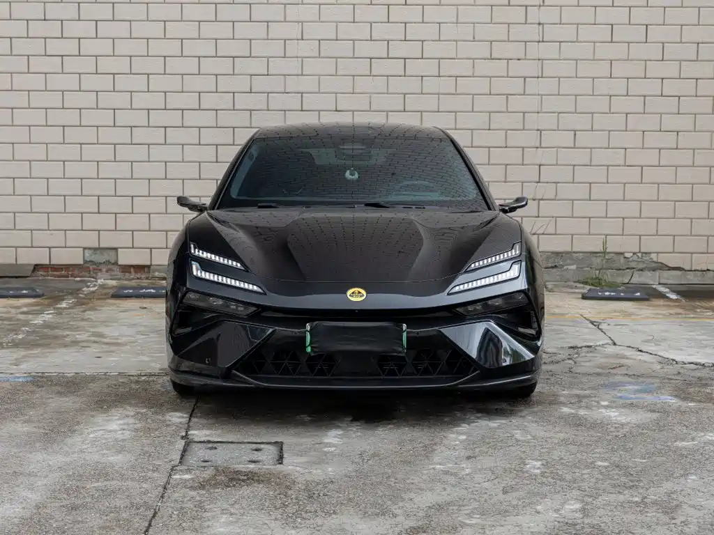 Lotus EMEYA — миниатюра 2