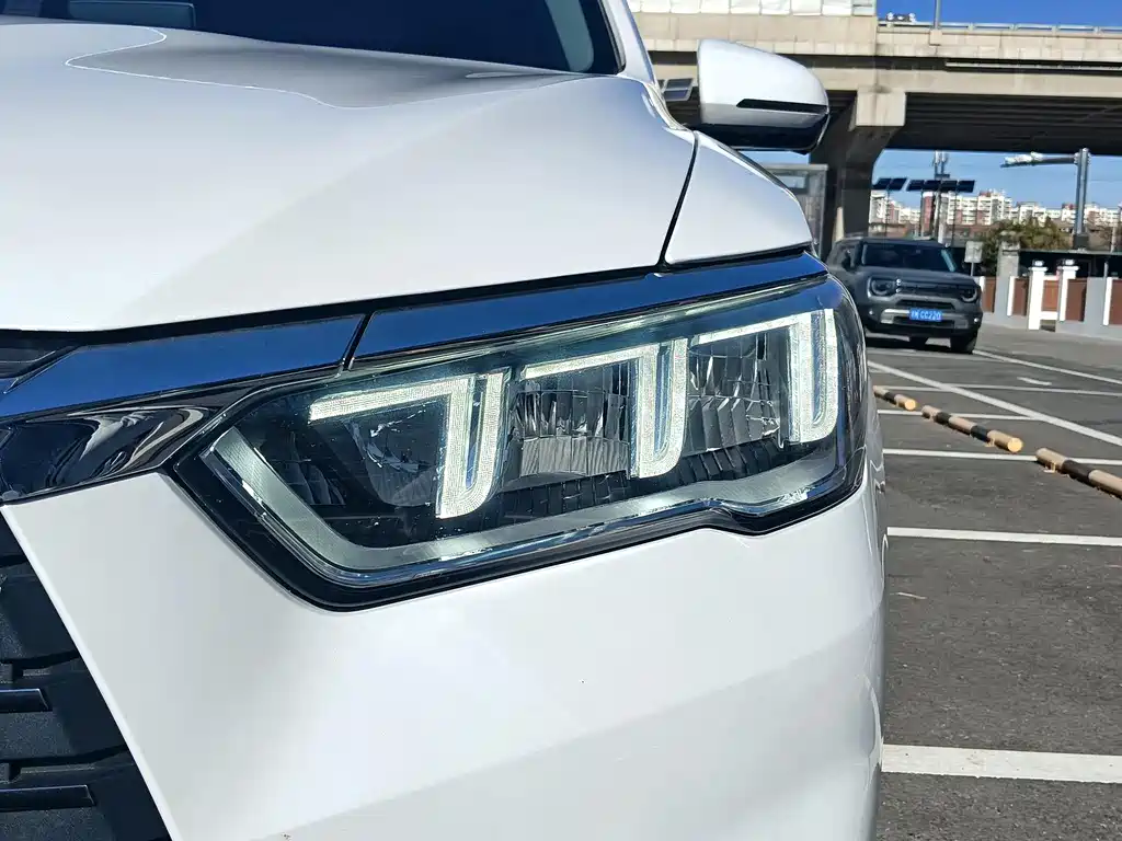 BYD SONGJIANG NEW ENERGY