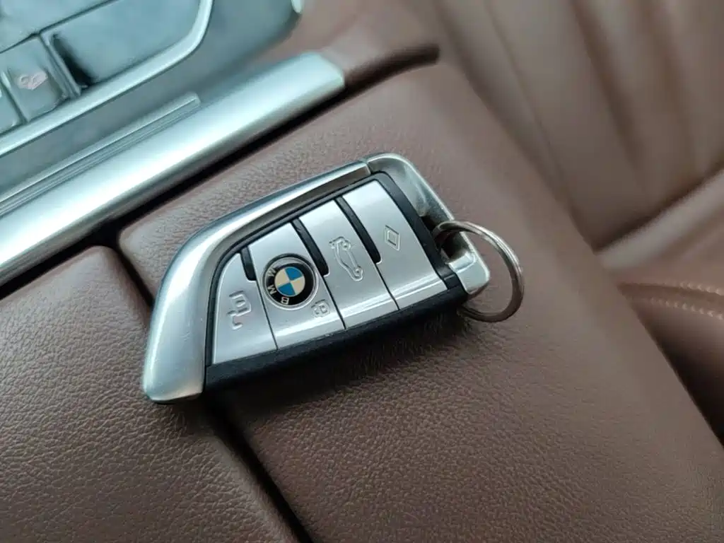BMW X5 (Import) — миниатюра 9