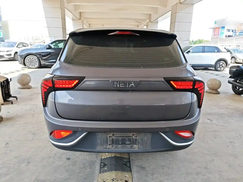 Neta Neta V — миниатюра 6