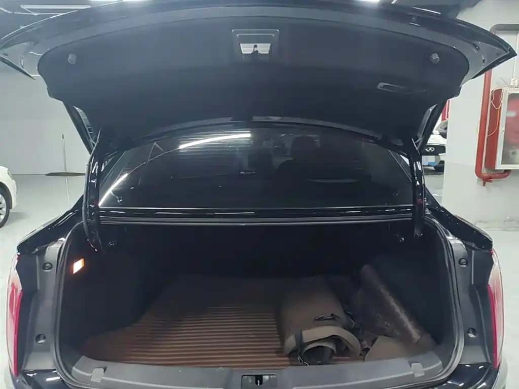 Hongqi Hongqi E-QM5 - фото 19