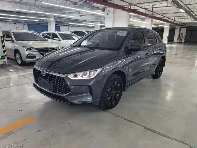 2020 BYD e2