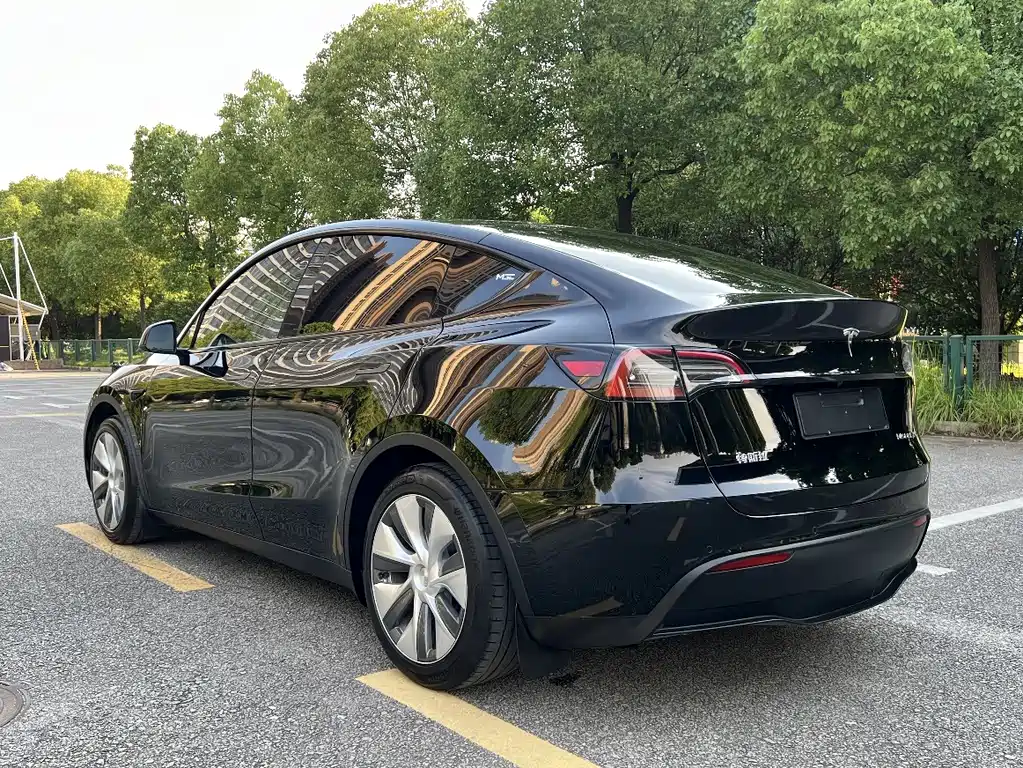 Tesla Model Y — миниатюра 11