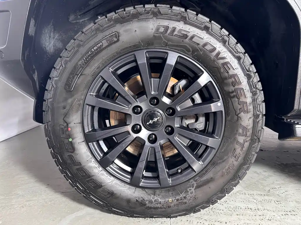 FANG CHENG BAO LEOPARD 5