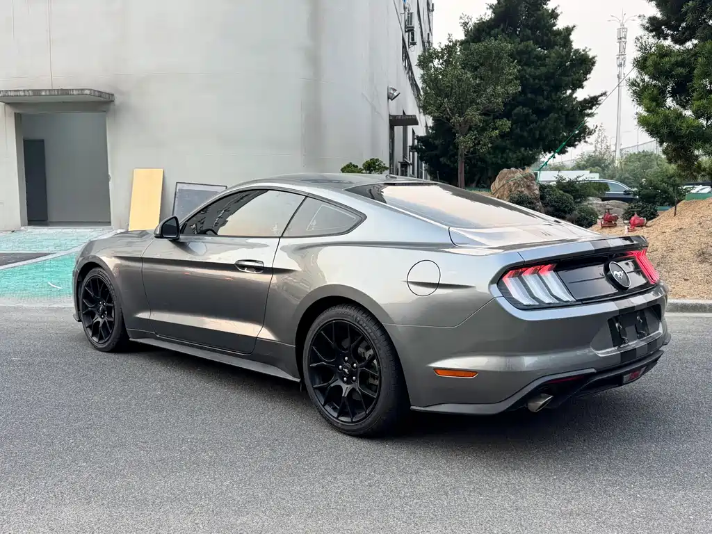Ford Mustang — миниатюра 10