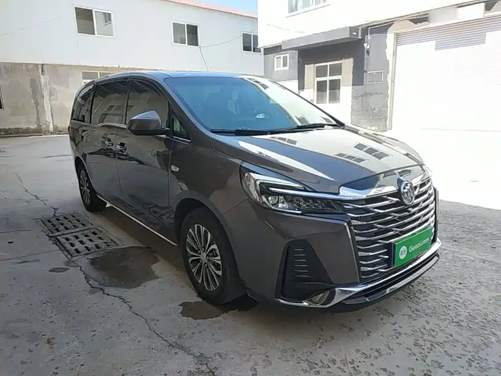 Buick GL8 — миниатюра 4