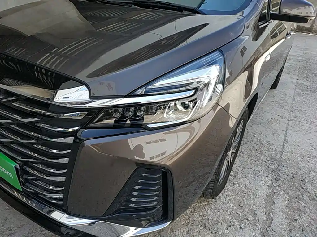 Buick GL8 — миниатюра 24
