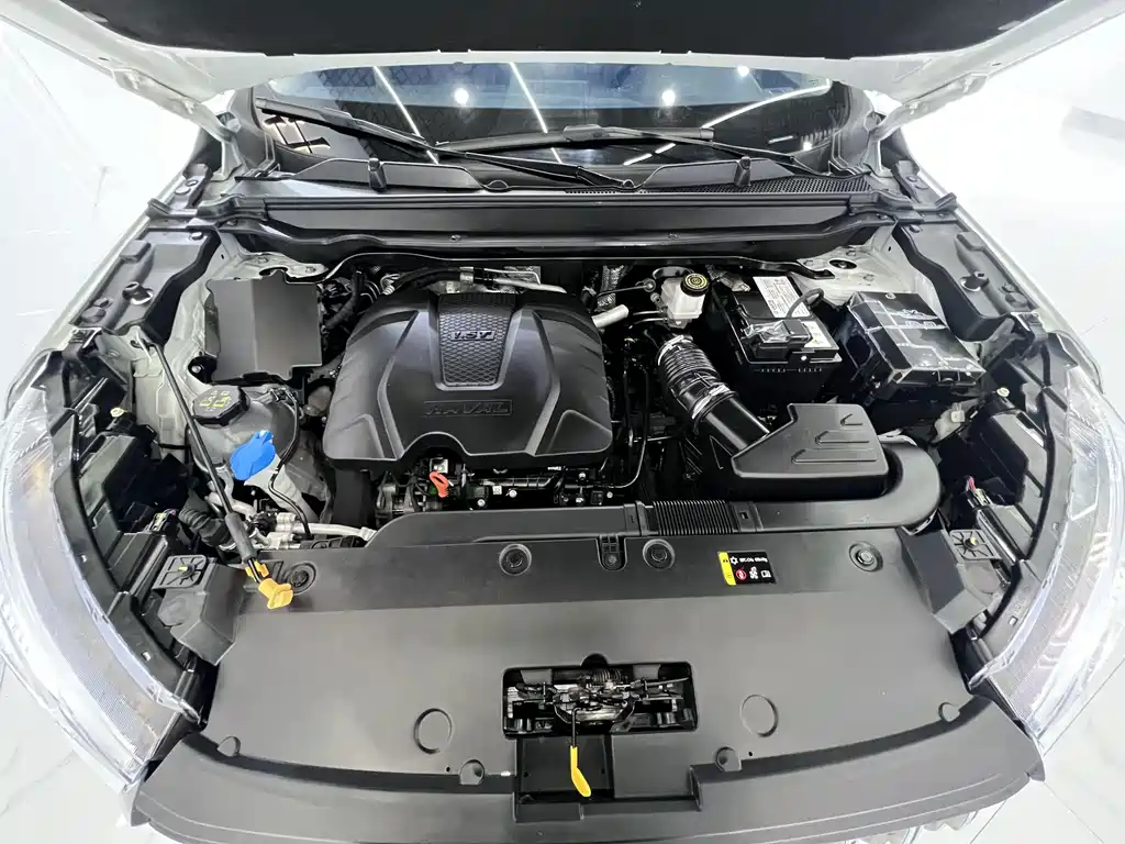 Haval Chitu — миниатюра 21