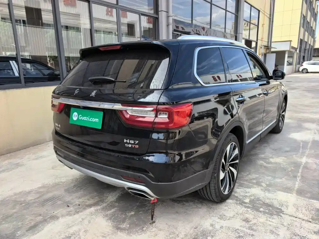 Hongqi Hongqi HS7 — миниатюра 7