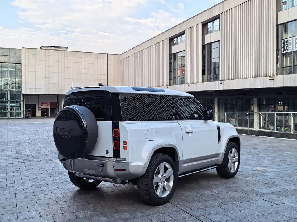 Land Rover Defender 90 2.0T P300 Tiger Power Mighty Heart Edition, фото 17