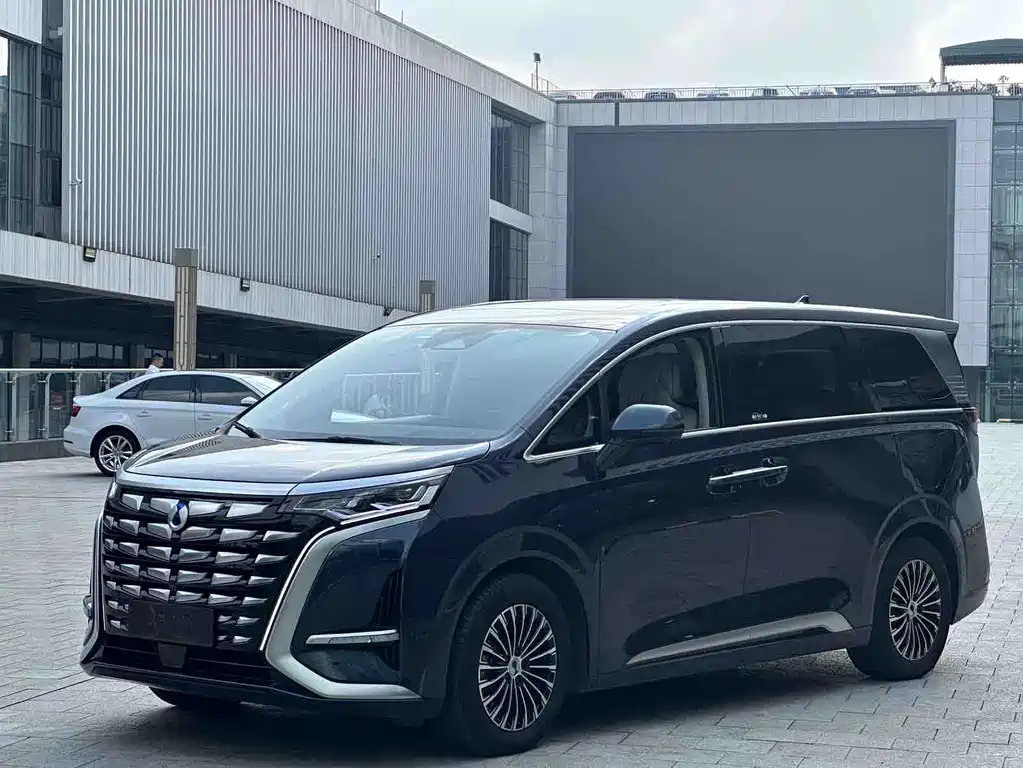 Denza D9