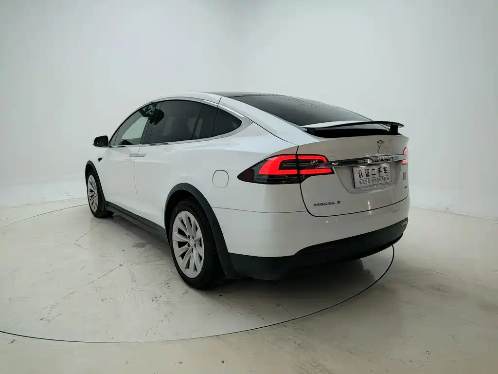 Tesla Model X — миниатюра 5