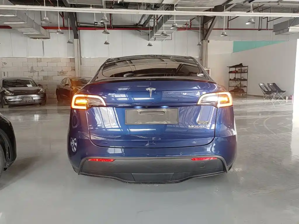 Tesla Model Y — миниатюра 6