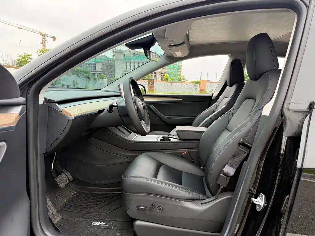 Tesla Model Y — миниатюра 7