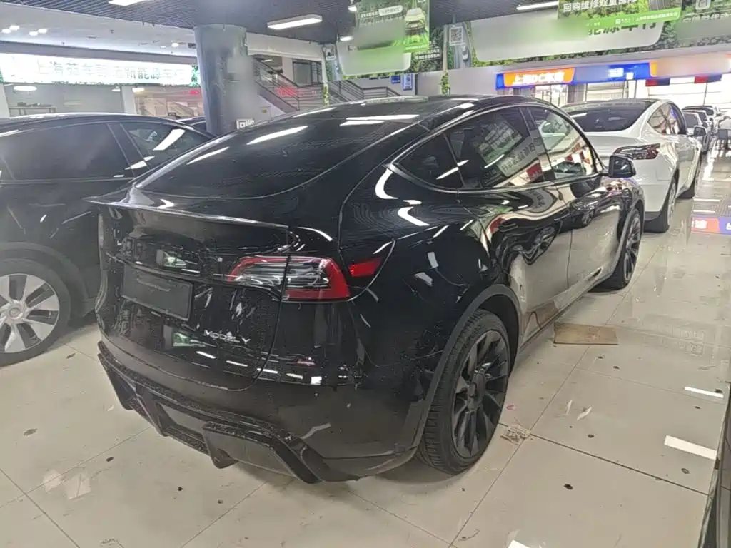Tesla Model Y — миниатюра 7
