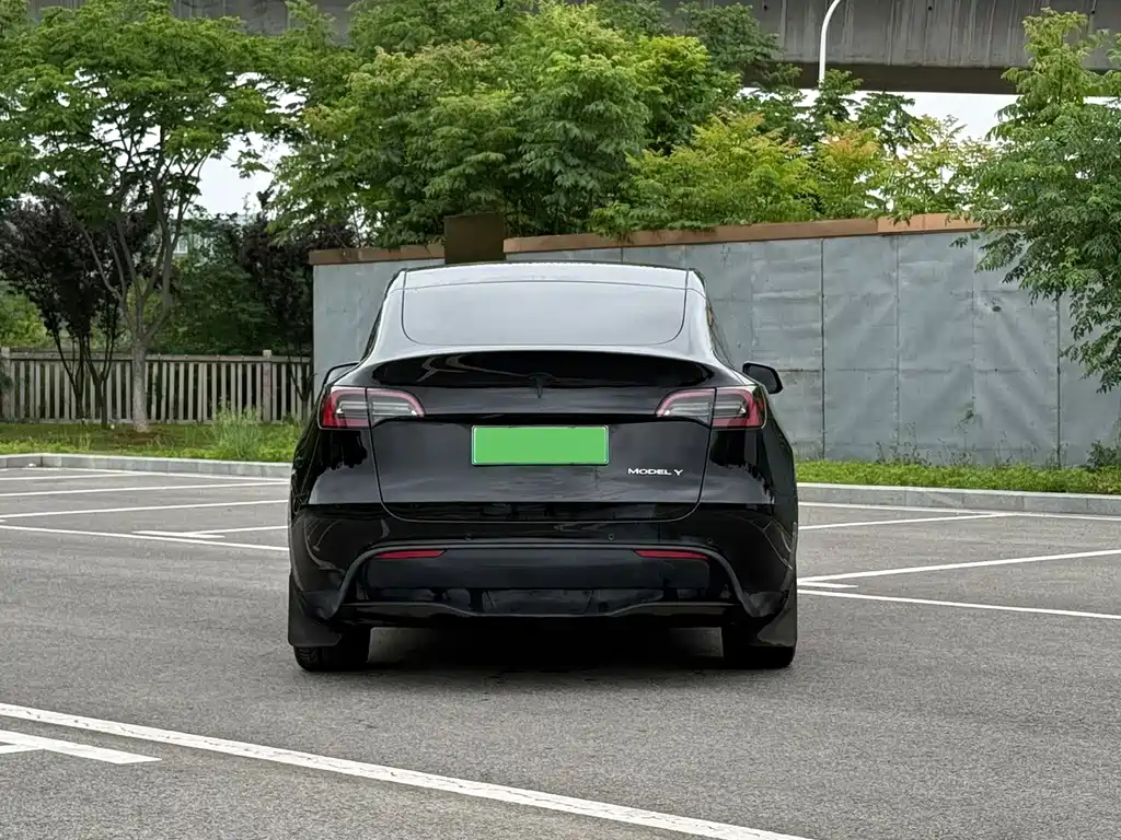 Tesla Model Y — миниатюра 5