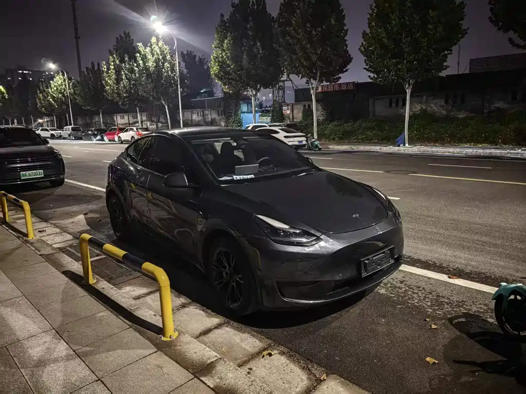 Tesla Model Y — миниатюра 3