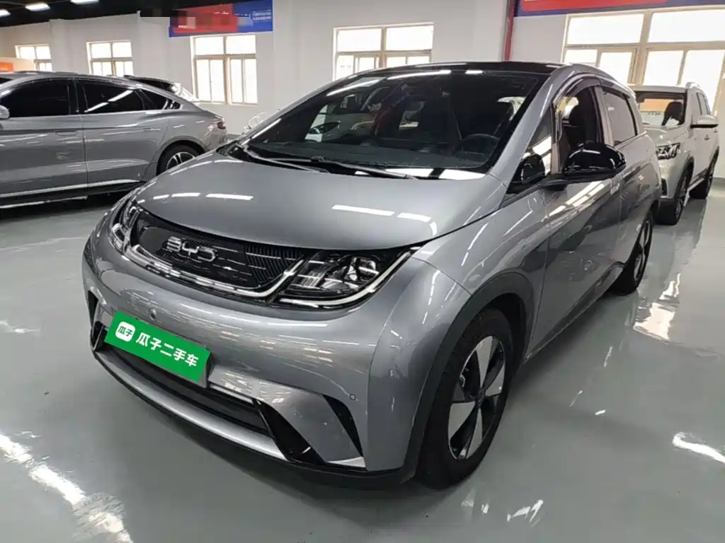 BYD Dolphin — миниатюра 2