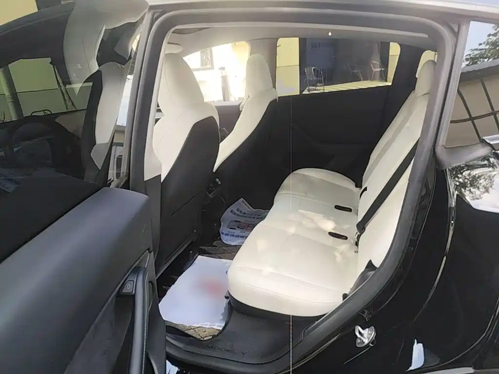 Tesla Model Y — миниатюра 17
