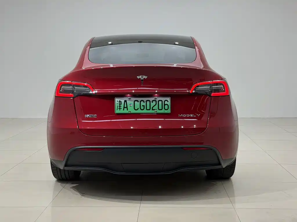 Tesla Model Y — миниатюра 7