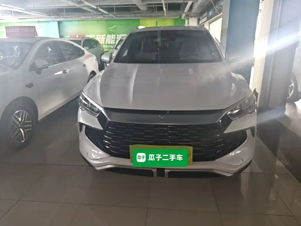 BYD Pro New Energy — миниатюра 3