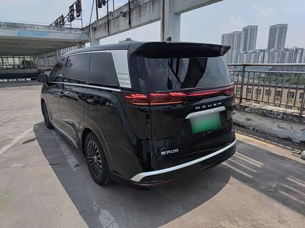 Denza Denza D9 — миниатюра 5