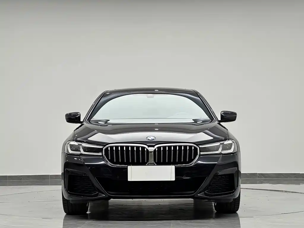 BMW 5 Series — миниатюра 3