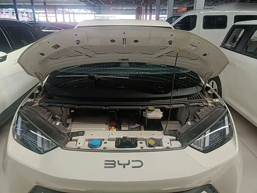 BYD Seagull — миниатюра 20