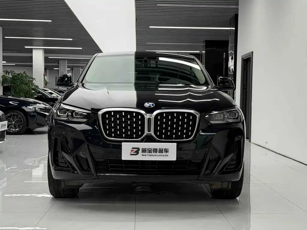 BMW X4 — миниатюра 2