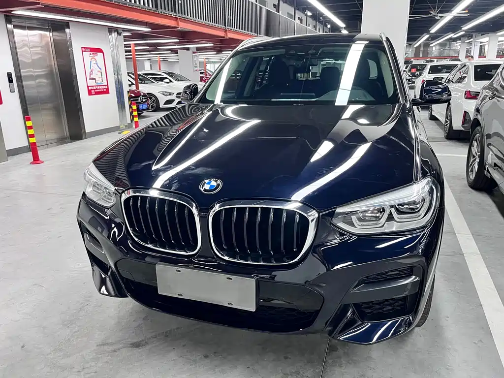 BMW X3 — миниатюра 2