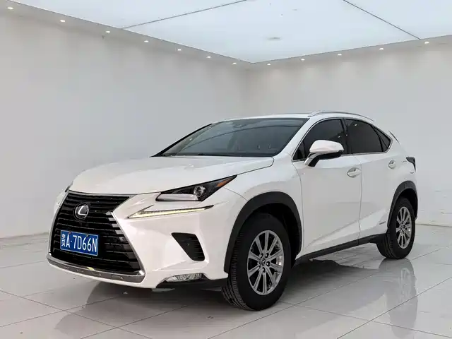 Lexus NX 2020 300h V — фото 1