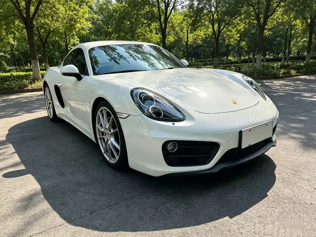 Porsche Cayman — миниатюра 3