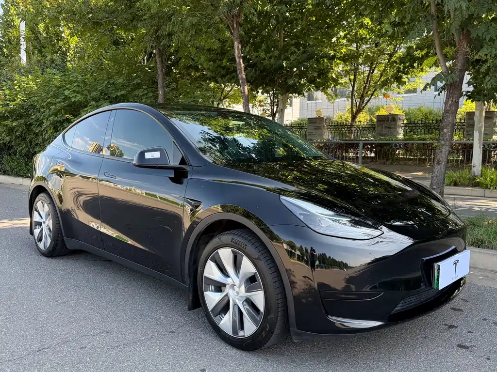 Tesla Model Y — миниатюра 3