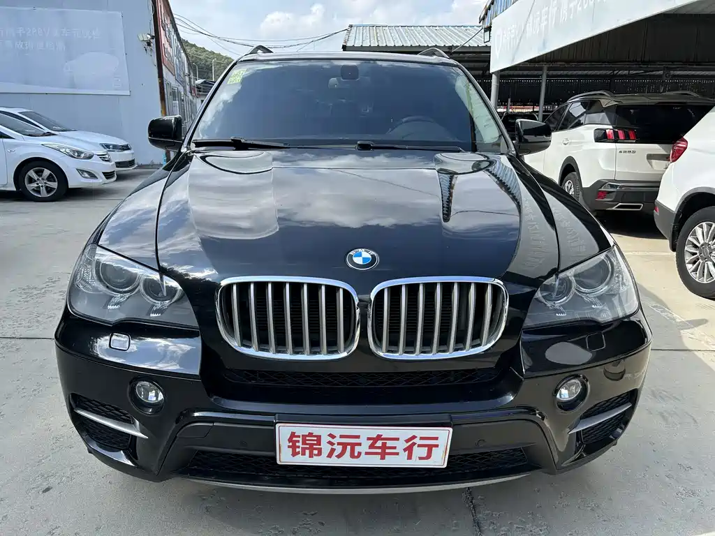 BMW X5 (Import) — миниатюра 2